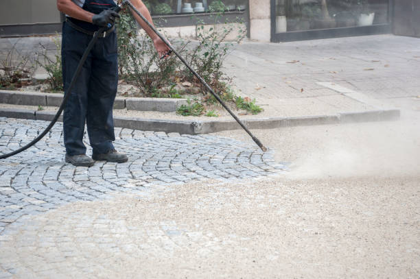 Best Fence Cleaning  in Stone Park, IL