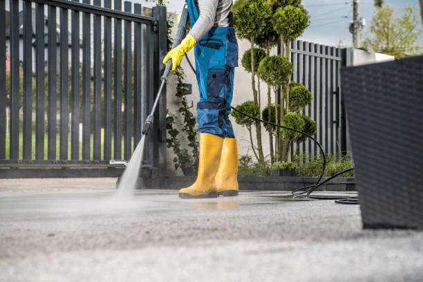 Best Patio and Deck Pressure Washing  in Stone Park, IL