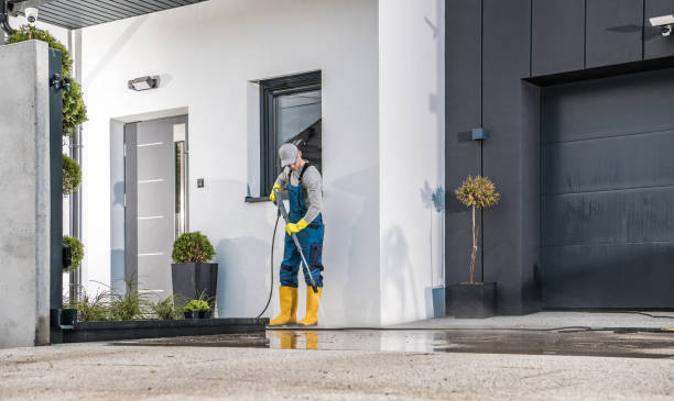 Best Solar Panel Cleaning  in Stone Park, IL